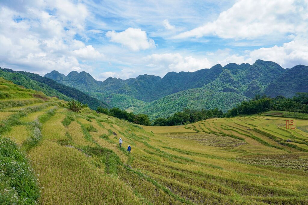 Hình minh họa chuyên mục Kinh nghiệm leo núi