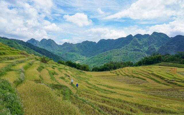 Cảnh ruộng bậc thang và núi ở Pù Luông trong ảnh tư liệu