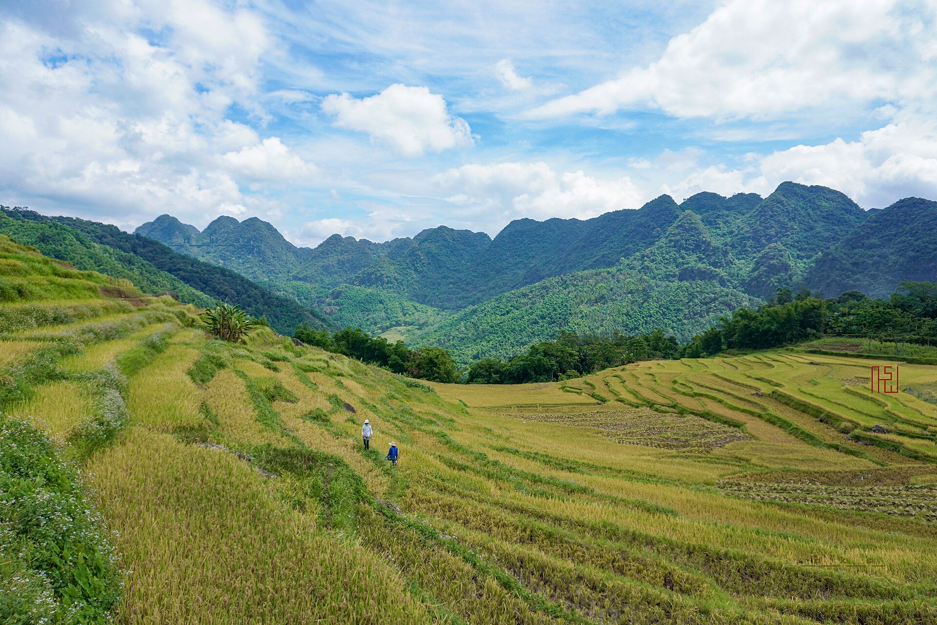 Cảnh ruộng bậc thang và núi ở Pù Luông trong ảnh tư liệu